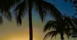 Serene sunset over the ocean with silhouetted palm trees, perfect for relaxation and rejuvenation with RichHypnotherapy.