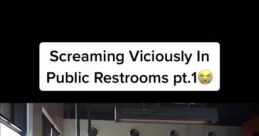 Screaming in public restrooms prank A person screaming in public restrooms