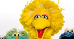 Beloved Sesame Street characters, including Big Bird, Elmo, and Abby Cadabby, showcase their vibrant, friendly personalities.