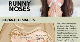 Exploring runny noses, paranasal sinuses, and mucus discharge color indicators for better health understanding.