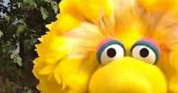 Big Bird Play and download Big Bird clips. #big bird #sesame street #open up #breaking an entry #funny #forceful entry