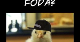 Se fodaaa The of "Se fodaaa" reverberates through the air with a mix of defiance and rebellion. It is a phrase that carries