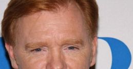 David Caruso Play and download David Caruso clips. #david caruso #horatio caine #csi miami #join the club #truth #honesty