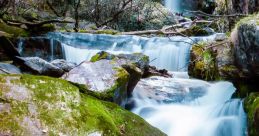 Mountain Stream Play and download Mountain Stream clips. #nature #birds #chirping #babbling brook #river