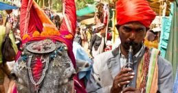 Indian Donkay songa The melodic of Indian Donkey Songs evoke a sense of joy and celebration, transporting listeners to a