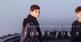 I'll be there for you - Martin Garrix and Troye Sivan Play and download I'll be there for you - Martin Garrix and Troye