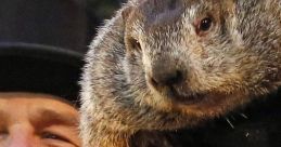 Groundhog Day Play and download Groundhog Day clips. #dinner #planns for dinner #date #ask out #close on this one #so close