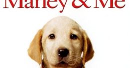 Marley & Me Play and download Marley & Me clips. #countdown #one two three #start #get ready #timer #wait for it