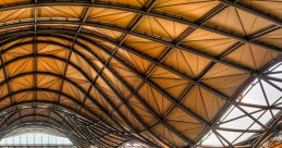 Modern train station interior with multiple tracks, trains, and an impressive architectural ceiling design.