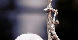 Pope John Paul II praying with his unique crucifix, symbolizing faith and devotion during a solemn moment.