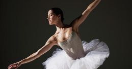 Ballerinaa The soft rustle of tulle skirts and delicate ballet slippers echoed through the rehearsal studio as the