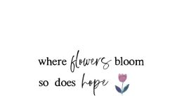 Where's my flowers?? Where's my flowers?? The of frustration and annoyance echoed through the room, bouncing off the