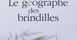 Brindilles qui se cassent#2 If you close your eyes and listen closely, you can hear the delicate of "Brindilles qui se