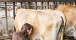 al Cow Milking Milking a cow is not just a mundane chore on a farm; it is a symphony of that can only be described as "al