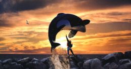 Free Willy Play and download Free Willy clips. #free willy #orca #whale #killer whale #whale jump