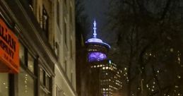 Rain-soaked street at night featuring a pizza shop and a lit tower, ideal for exploring Warren Woodward's YouTube adventures.