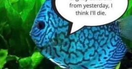 Fish meme The world of internet memes is vast and ever-expanding, with new trends and themes emerging regularly. One