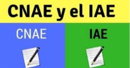 Iae comparsa The rhythmic of drums fills the air, setting the beat for the energetic dancers as they move in unison. The