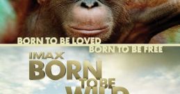 Goal Born to be Wild The of "Goal Born to be Wild" is like a fierce roar of determination. It is a powerful declaration