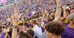 LSU football fans celebrate vibrantly in purple and gold during a game day, showcasing team spirit and excitement.