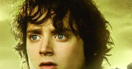 Frodo Play and download Frodo clips. #lotr #lord of the rings #frodo baggins #scream #no #nooooo #agony #devastated