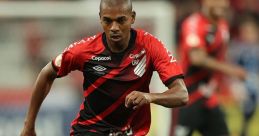 Fernandinho - Jogador do Palmeiras Vagabundo The of "Fernandinho - Jogador do Palmeiras Vagabundo" echoes through the