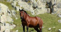 Caballo montaña In the serene mountains of Caballo, the of nature reign supreme. As the wind whispers through the