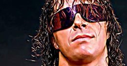 Bret Hart Play and download Bret Hart clips. #code review #there it is #technology #right in front of you #debug