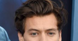 Harry Styles Harry Styles is not a movie, television show, or song, but rather a talented ian and former member of the