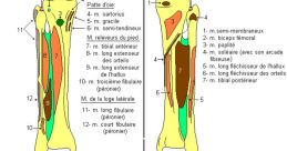 Question 2 (Extremité du pain) The of "Question 2 (Extremité du pain)" brings to mind the gentle rustling of a paper bag