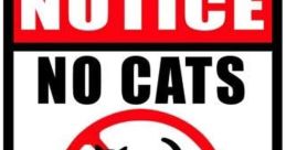 No No No Cat Play and download No No No Cat clips. #funny cat #no #nope #nah