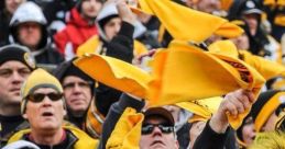 Steelers Fan Play and download Steelers Fan clips. #kill myself #angry fan #steelers lose