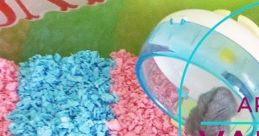 AprilsAnimals Play and download AprilsAnimals clips. #hamster #obstacle course #slow but steady #adorable #morgan freeman