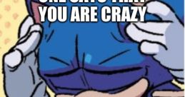 SANIC BOI SANIC BOI. The mere utterance of those two words conjures up a whirlwind of that can only be described as chaotic