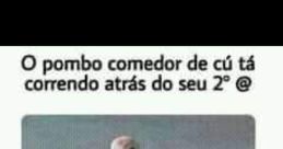 Fica dando o cu pra pombo The phrase "Fica dando o cu pra pombo" may seem nonsensical at first, but the associated with