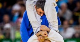 Judo lemons alert2 Judo lemons alert2- the phrase itself evokes a sense of urgency and intensity. When you first listen to