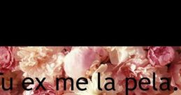 Me la pela . The phrase "Me la pela" is a bold and unapologetic expression that is often used in Spanish to convey a sense