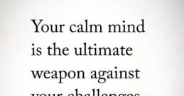 I'd say the moment calls for calm In a world filled with chaos and uncertainty, finding moments of calm can feel like a