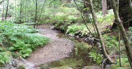 Hillys stream The of Hillys stream is a symphony of nature, a melodic cacophony that dances through the forest like a