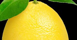 Limonsev The first that comes to mind when thinking about Limonsev is the rhythmic beat of drums. The booming echoes