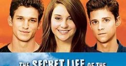 The Secret Life of the American Teenager (2008) - Season 3