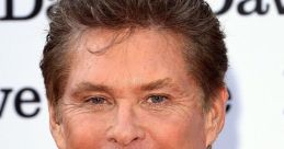 David Hasselhoff David Hasselhoff: A Multifaceted Icon of Pop Culture David Hasselhoff, a renowned figure in the world of