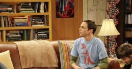 The Big Bang Theory - Season 2 The Big Bang Theory, an incredibly popular television show, made its explosive return in