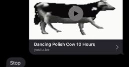 Dancing Polish Mouse Meme The first that comes to mind when thinking about the Dancing Polish Mouse Meme is the cheerful