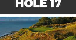 Whistling Straits Hole 17 features scenic views, a challenging 223-yard hole with sand dunes and bunkers in Wisconsin.