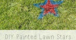 WHAT'S UP LAWN STARS ! The unmistakable of "WHAT'S UP LAWN STARS!" echoed through the neighborhood, signaling the start