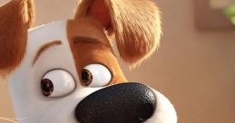 The Secret Life of Pets (2016) The Secret Life of Pets is an animated film released in 2016 that takes audiences on a wild