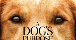 A Dog's Purpose A Dog's Purpose is a heartwarming movie that takes viewers on an emotional journey through the lives of