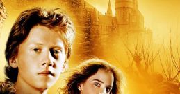 Harry Potter and the Prisoner of Azkaban (2004) Harry Potter and the Prisoner of Azkaban is a highly acclaimed film that was