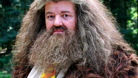 You Re A Wizard Harry Rubeus Hagrid Soundboard - your a wizard harry loud roblox